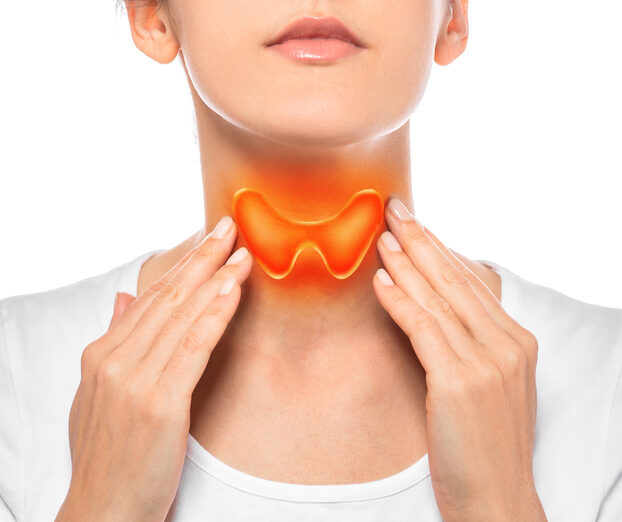 甲状腺の画像