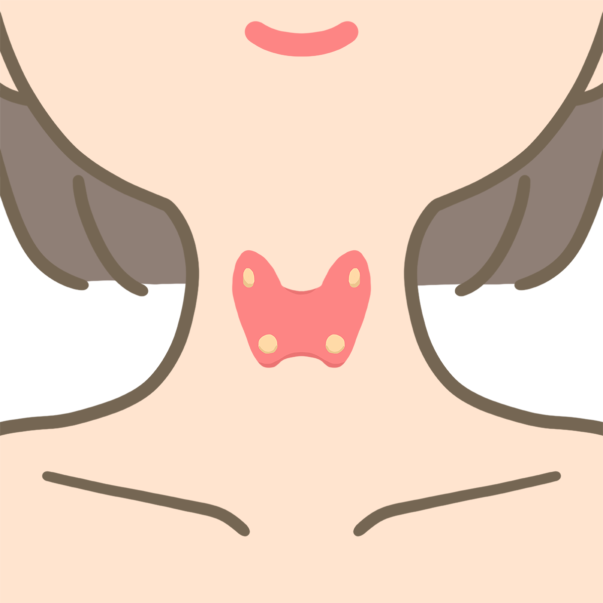 甲状腺の画像