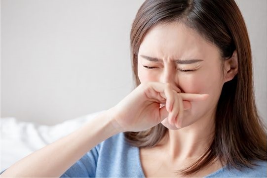 いびき・花粉症・アレルギー性鼻炎・副鼻腔炎